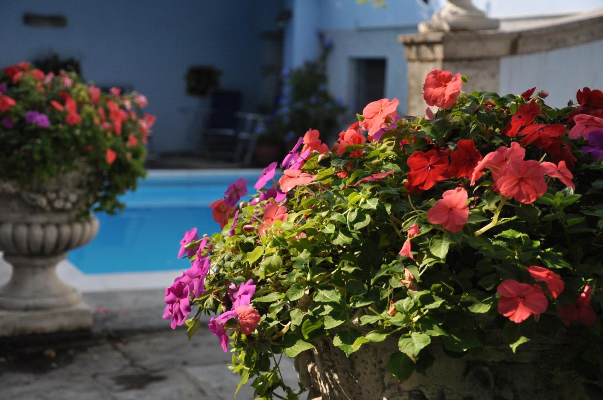 Villa Annamaria B&B Domaso Kültér fotó